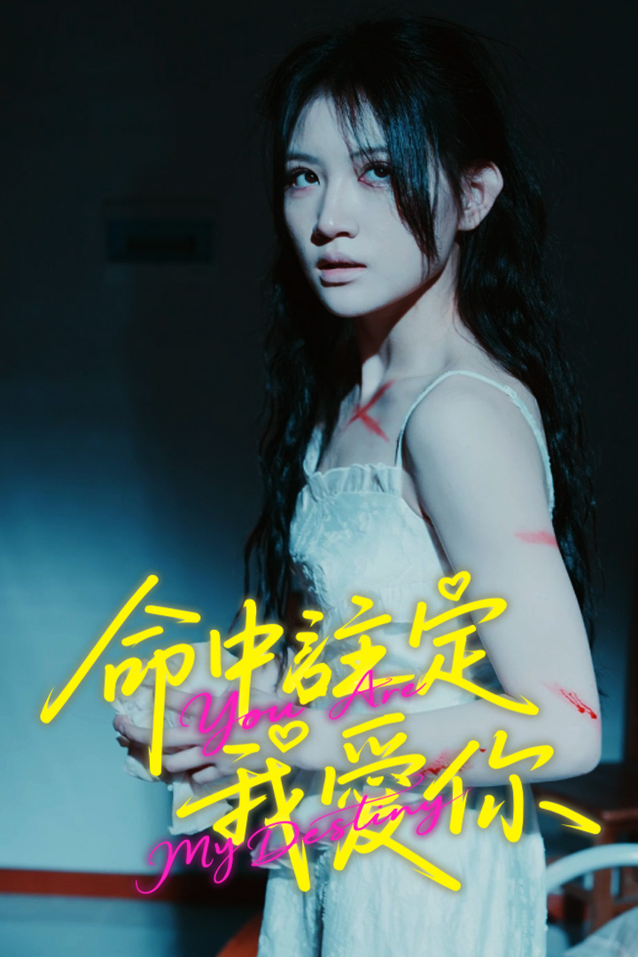 命中註定我愛你