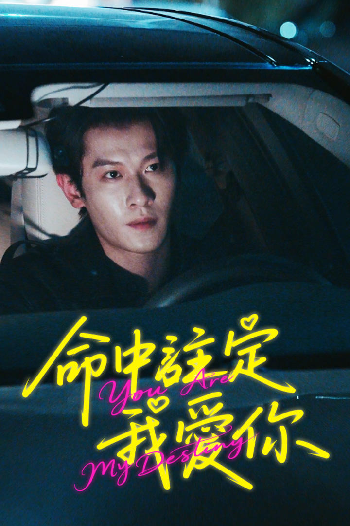 命中註定我愛你