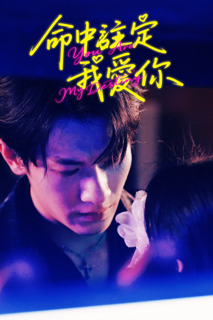 命中註定我愛你