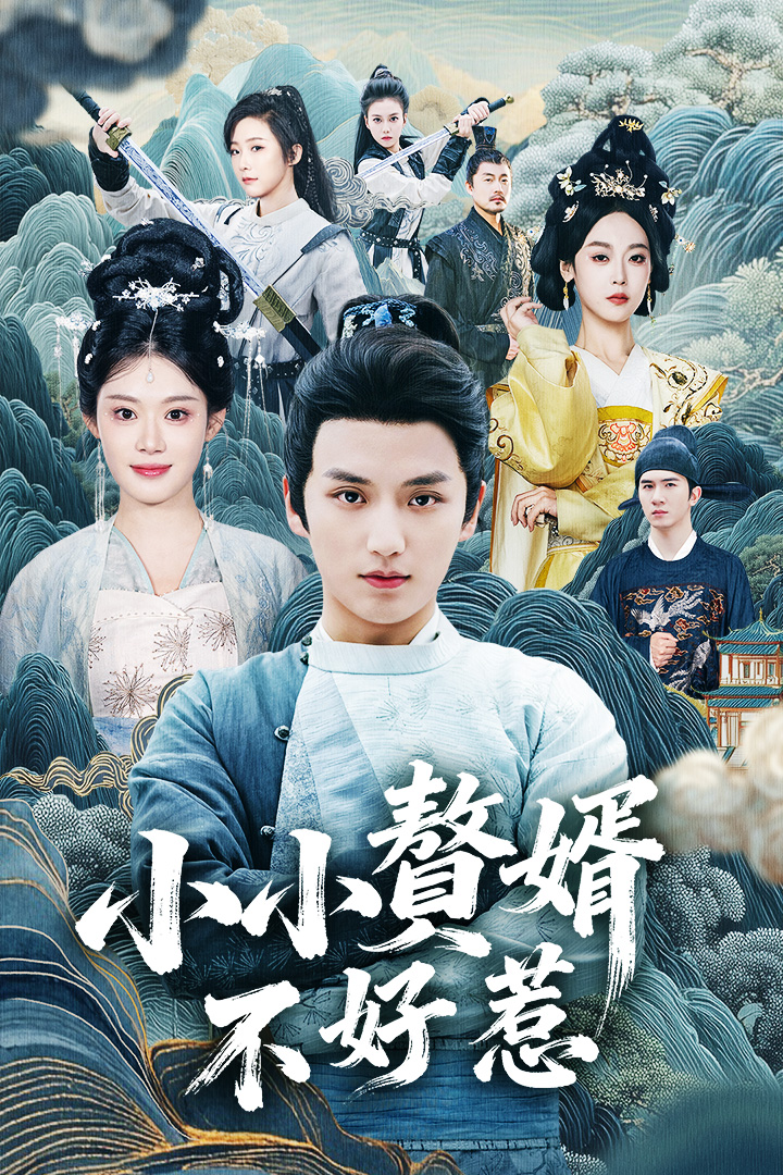 小小贅婿不好惹