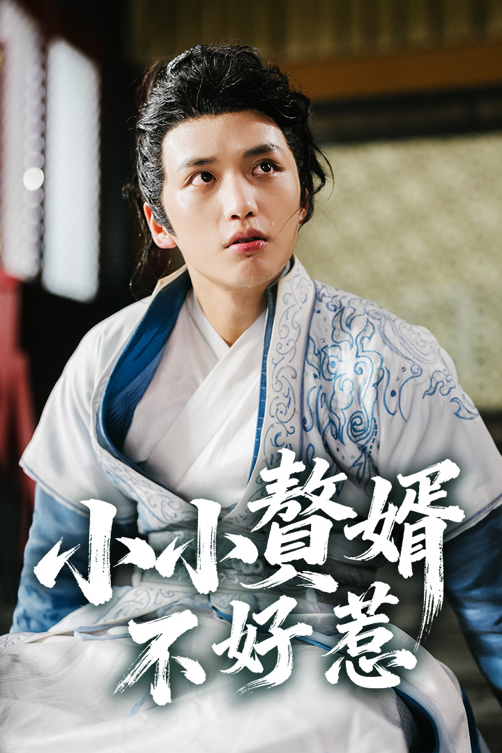 小小贅婿不好惹