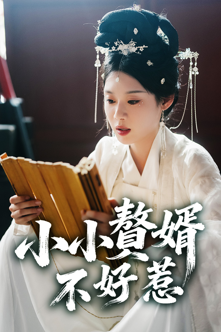 小小贅婿不好惹