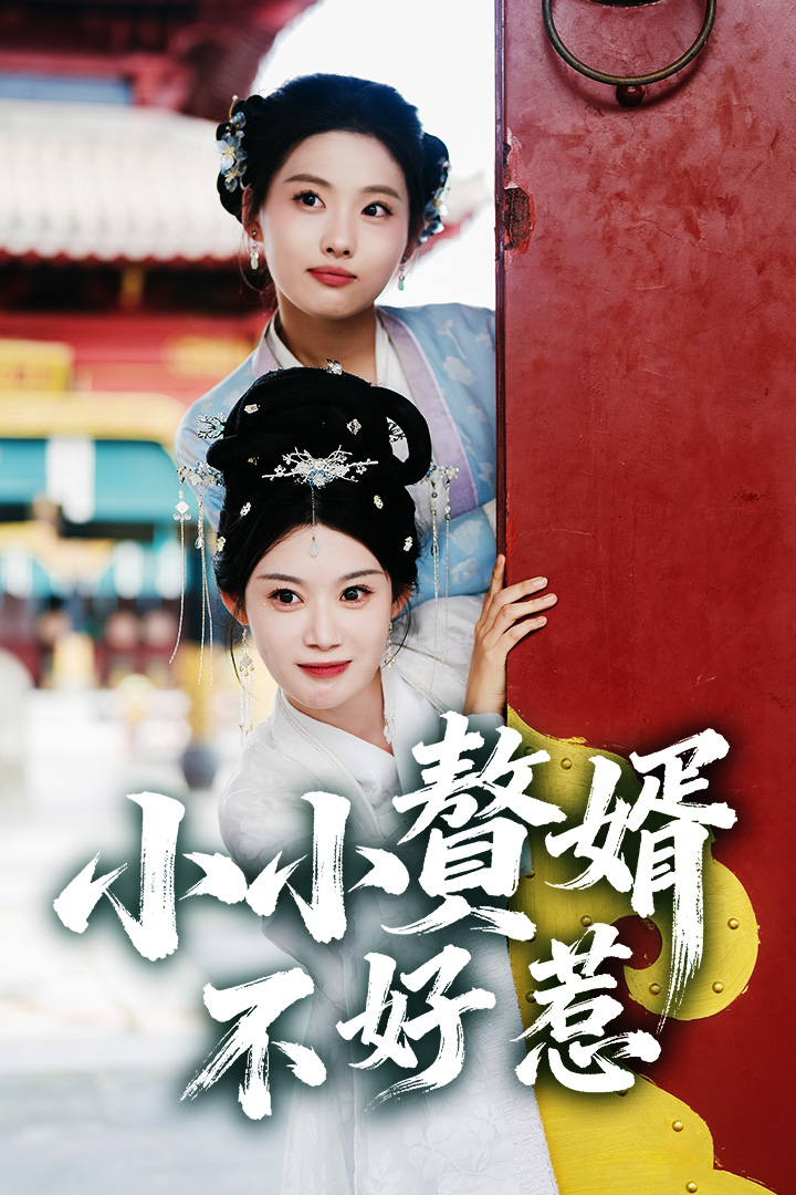 小小贅婿不好惹